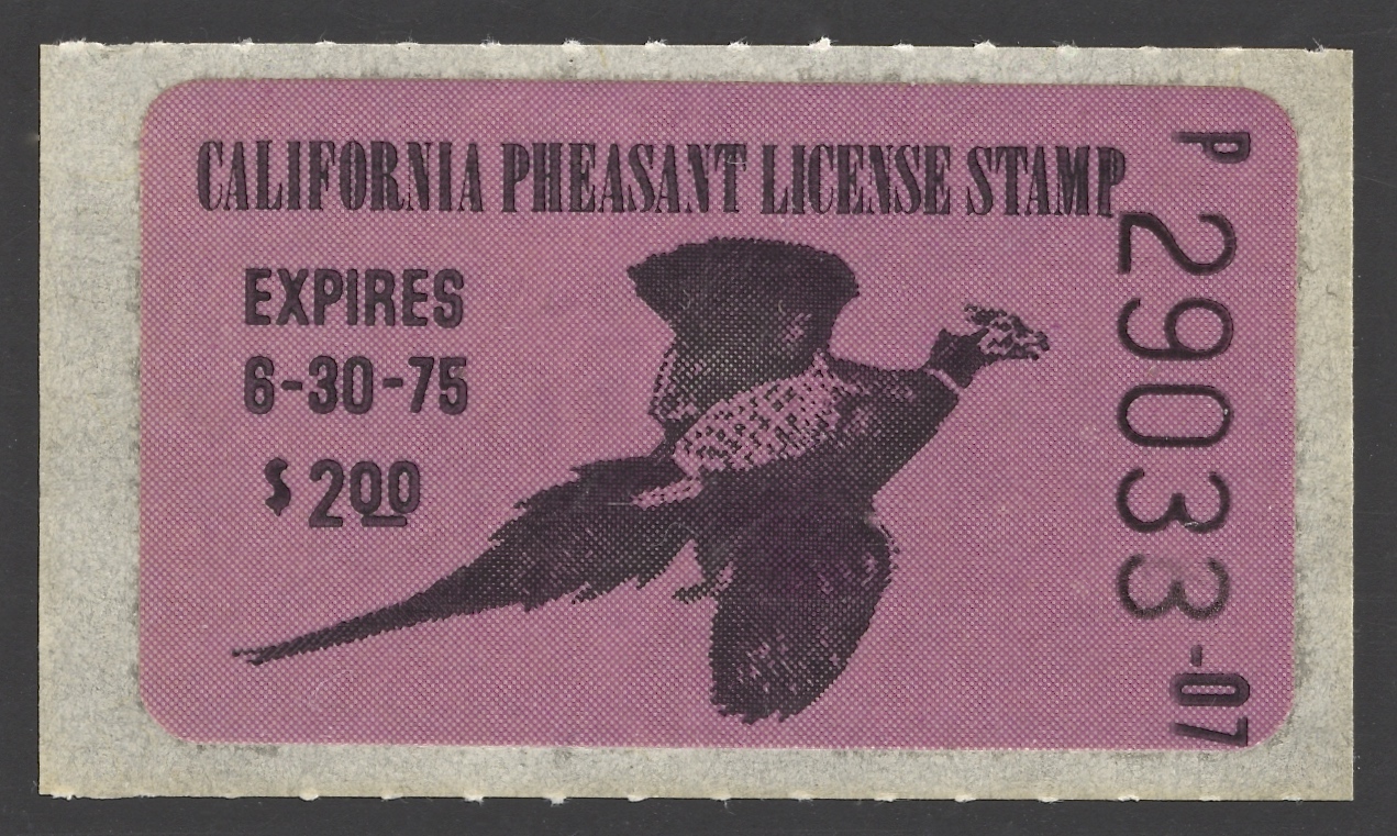 1974-75 California Pheasant