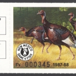 1987-88 New Mexico Turkey Validation