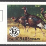 1988-89 New Mexico Turkey Validation
