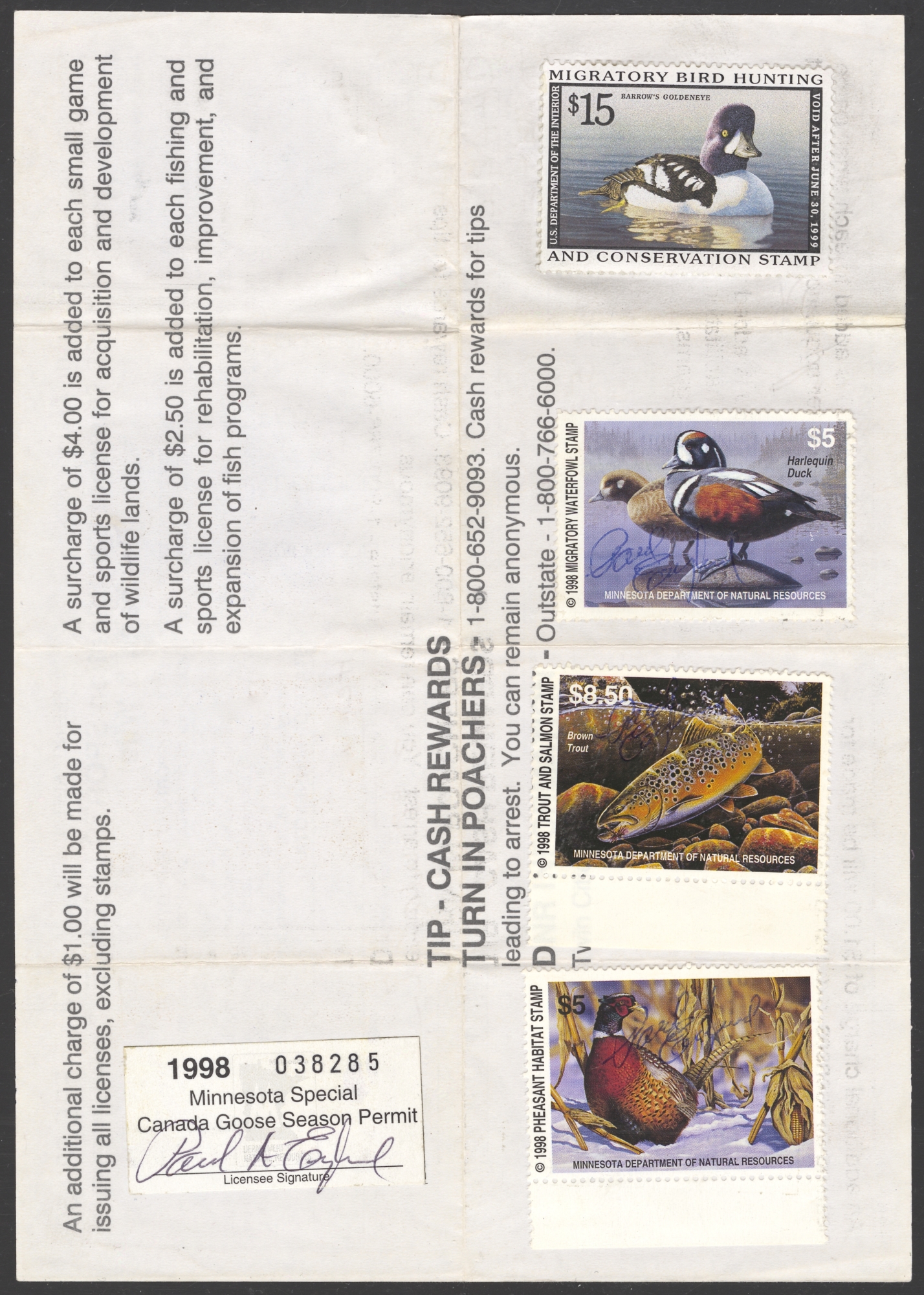 1998 Minnesota Special Canada Goose Season on license