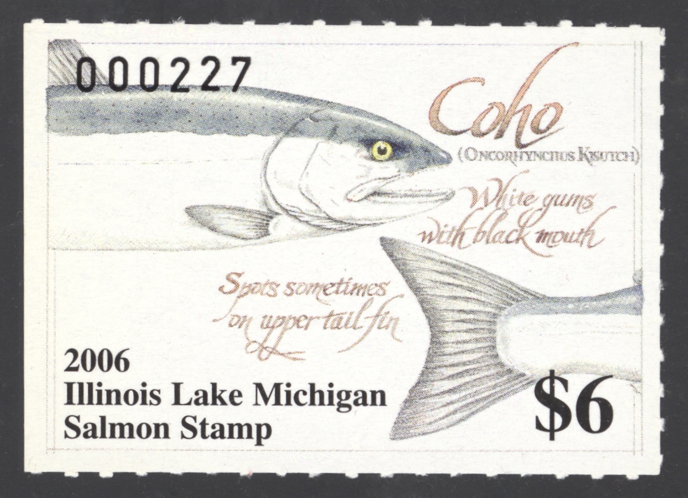 2006 Illinois Lake Michigan Salmon