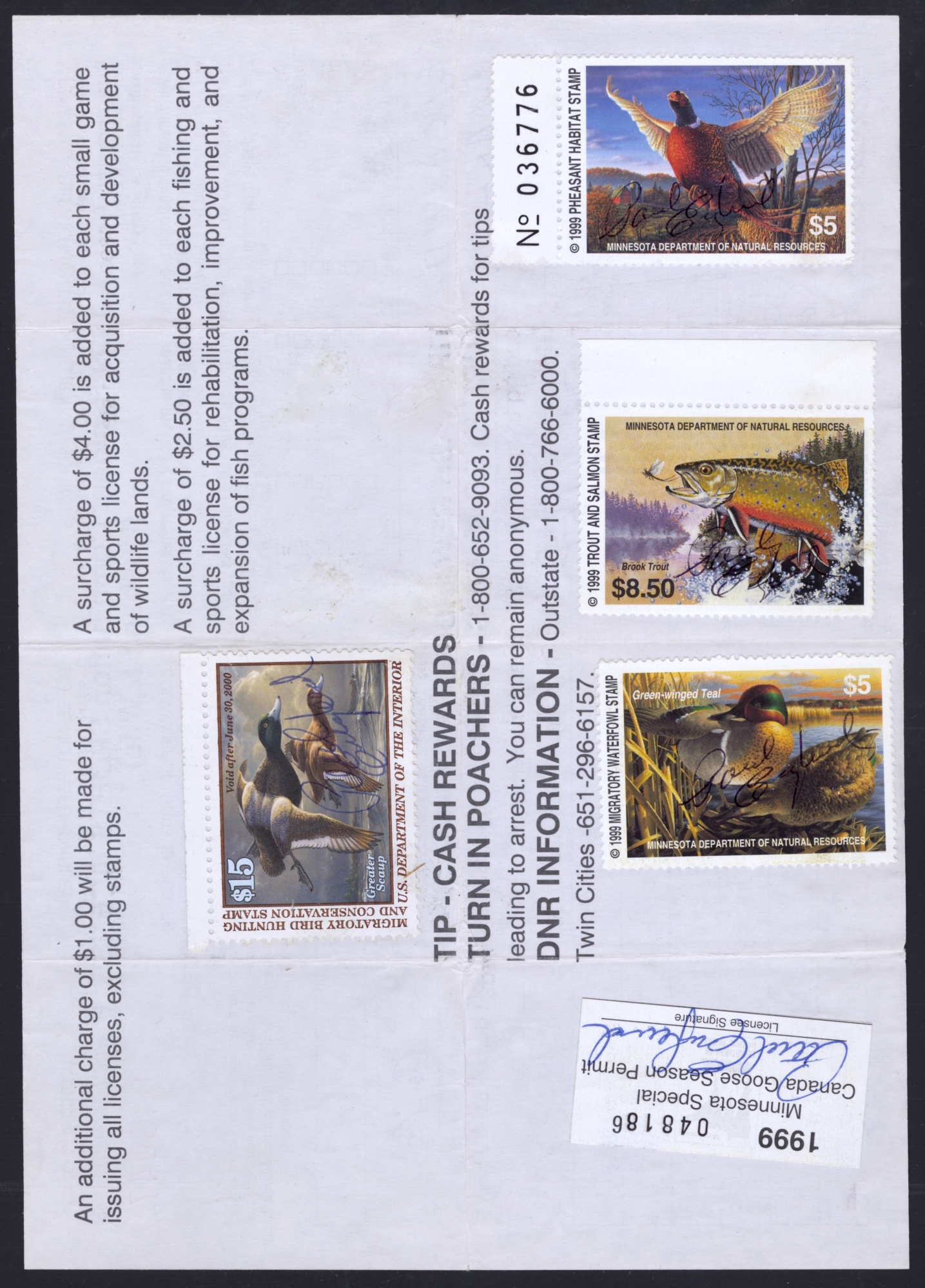 1999 Minnesota Special Canada Goose Season on license